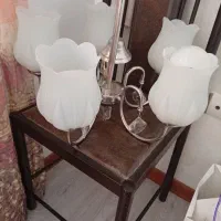 لوسترسفقی