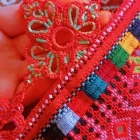 کریشی سرای سلوا
