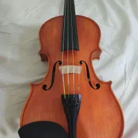 ویولن آماتی 220