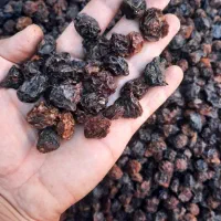 آلوچه ریز