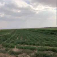 زمین