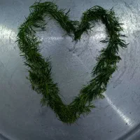 سبزی قورمه هویچ سرخ کرده