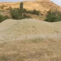 علوفه تازه خرمانکوب شده