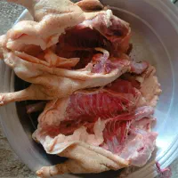 غاز محلی کاملا ارگانیک تغذیه شده با جو ویونجه