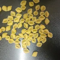 انواع ماکارونی فله رشته اش صادراتی