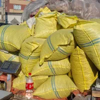 تخمه تازه|خوردنی و آشامیدنی|اسلامشهر, شهرک قائمیه|دیوار