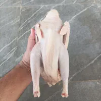 گوشت مرغ زعفرانی بدون پوست کیلو ۱۷۵هزارتومان
