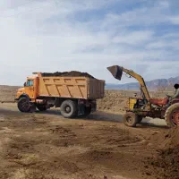 فروش فوری کود گاوی مستقیم از گاوداری بی واسطه