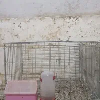 قفس جفتی 14عدد