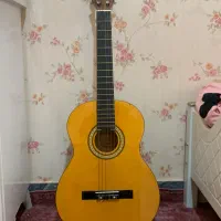 گیتار pao chia