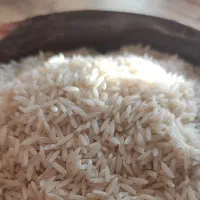 برنج هاشمی گیلان