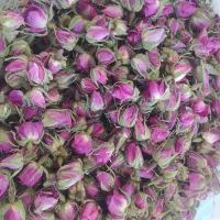 گل محمدی