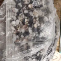 اکواریوم
