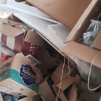 کارتن