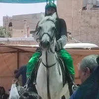 فروش بهترینها