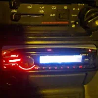 ظبط سنی اصلی