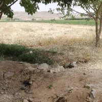 جوآبی وکاه جو