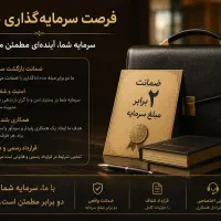 سرمایه گذاری
