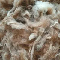 پشم گوسفندی