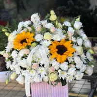 گل وگیاه زیر قیمت
