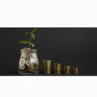 نیازمند سرمایه گذار حضوری