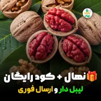 فروش تضمینی نهال گردو فرنور