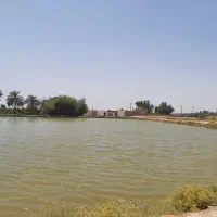 موسسه-پرورش-ماهی