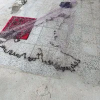تورماهی گیری پرتابی