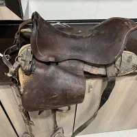 اسبزیناسبسواری