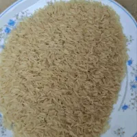انواع برنج در تناژ