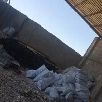 غذا کبابی درجه یک جنگلی و تخته
