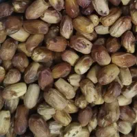 خرما زاهدی درجه یک