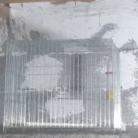 قفس پرنده و ...
