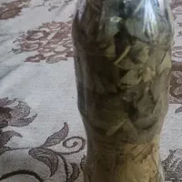 فروش بطری برگ مو برای دلمه