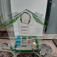 قفس پرنده شیروانی تازه