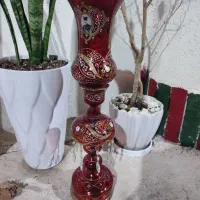 شمعدانی لاله عباسی