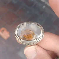 شجره طبیعی رکاب زنجان کار دست