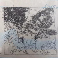 زمین سند تک برگ