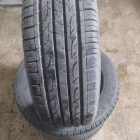 لاستیک  گلدستون