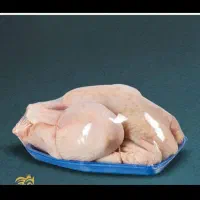 جذب نیروی کار اقا  وخانم در شرکت بسته بندی مرغ