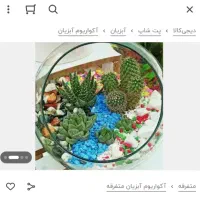 تنگ ماهی یا گلدان بزرگ