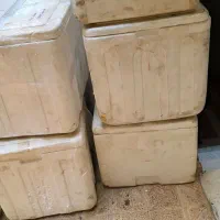 تعدادی آکاسیف