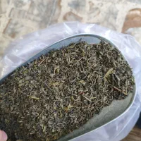 چای سبز بهاره و تازه