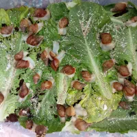 حلزون آفریقایی