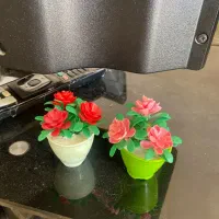 کالای منزل