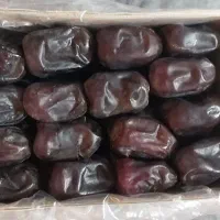 حراج خرما مضافتی