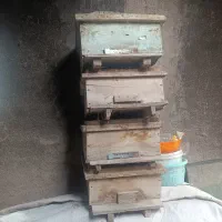 طبق زنبور عسل