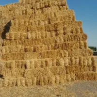 کلش جو|ماشین‌آلات صنعتی|گرمی, |دیوار