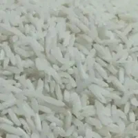 برنج طارم هاشمی
