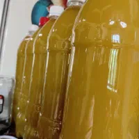 خوردنی|خوردنی و آشامیدنی|ماسال, |دیوار